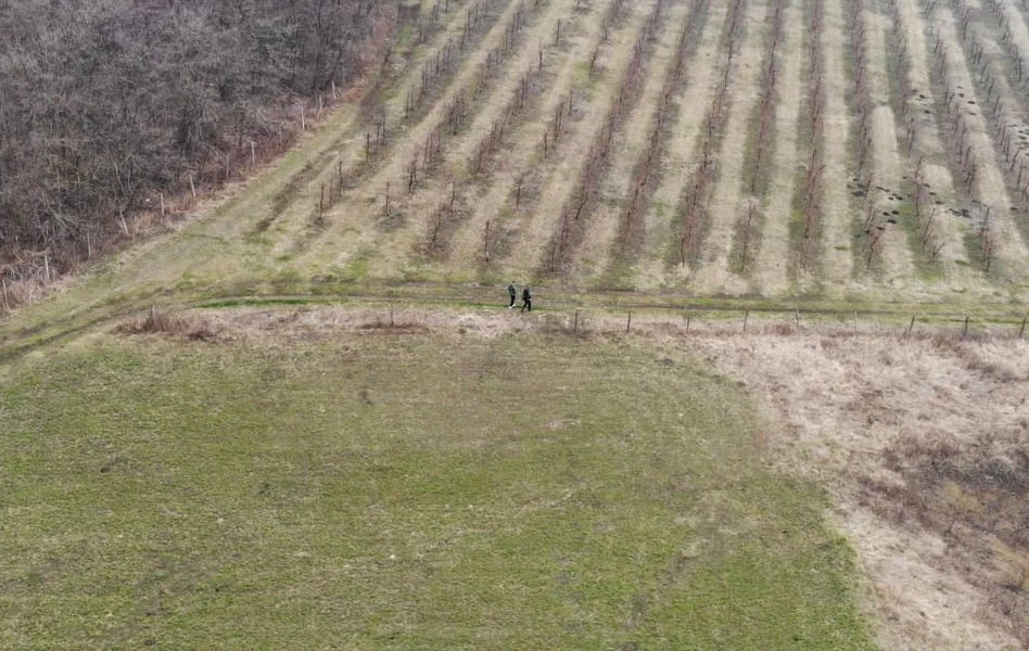 За 600 метрів від кордону затримали двох українців, які бігли до Румунії