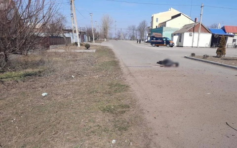Нікопольщина