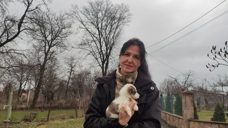 На Тернопільщині волонтери прилаштували цуценят, врятованих після атаки шахедів