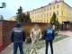 один з затриманих за підозрою на розкраданні