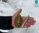 новини Львова