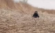 Річка Турунчук