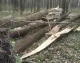 новини Львова