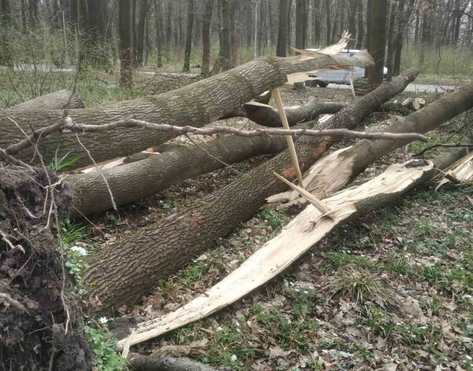 новини Львова