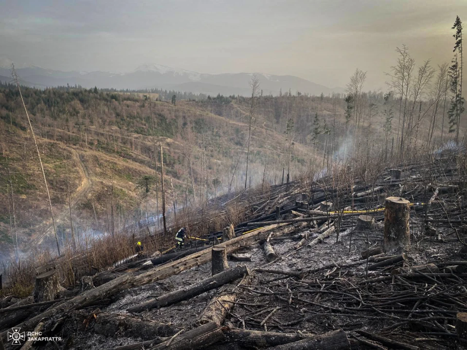 Горіло 6 гектарів лісу: на Закарпатті ліквідували масштабну пожежу