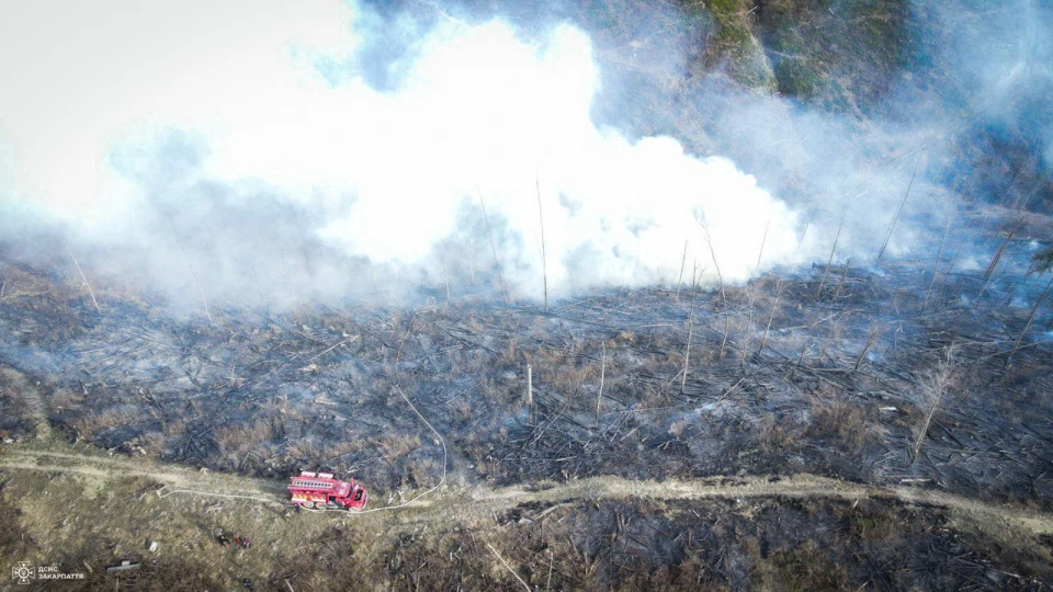 Горіло 6 гектарів лісу: на Закарпатті ліквідували масштабну пожежу