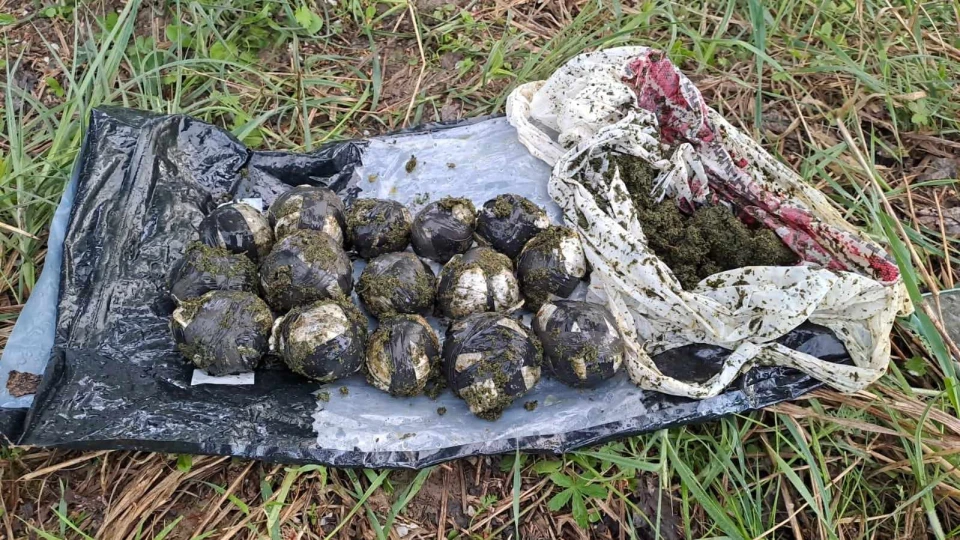 Біля кордону з Угорщиною впіймали чоловіка з наркотиками