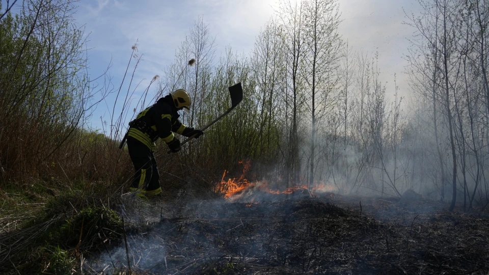 У Луцьку сталася пожежа на території заказника "Гнідавське болото"
