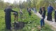 У Тернополі висадили алею пам'яті