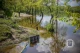 Водопілля у Києві 2024 рік