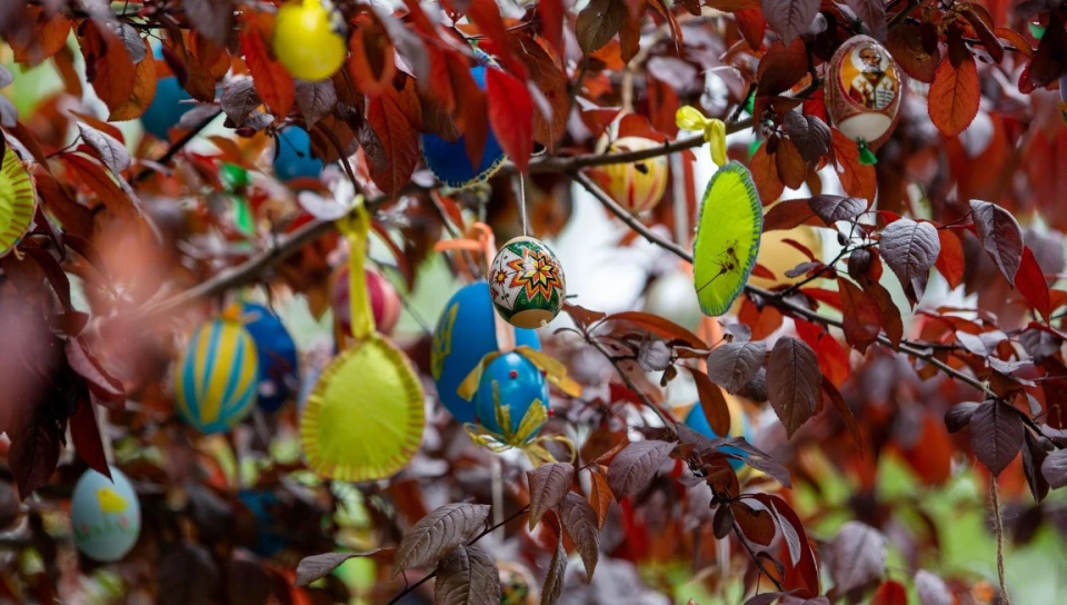 писанки на деревах у центральному сквері Франківська