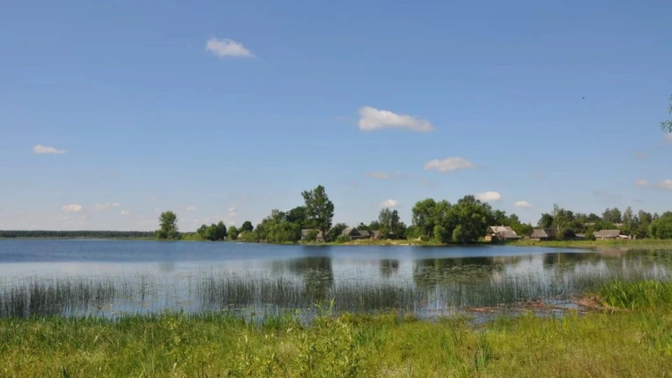 Озеро Омит на Рівненщині