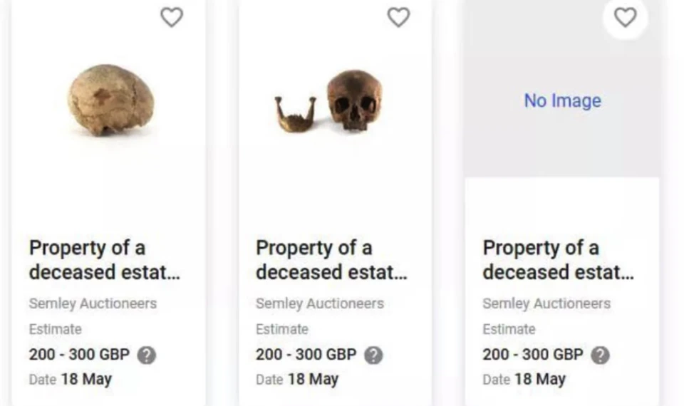 На фото: Людські черепи на аукціоні Semley Auctioneers