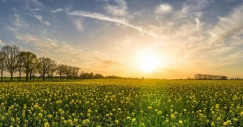 На Хмельниччині конфіскували землі, які належали громадянину РФ