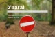 заборона відвідування лісів