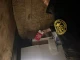 Мешканка Львівщини намагалася перевезти через кордон 200 мобільних телефонів Xiaomi