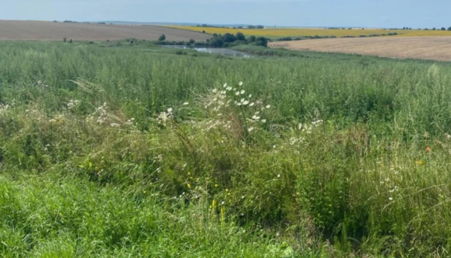 земельна ділянка у Бібрській громаді