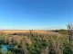 За позовом прокуратури державі повернуто землі лісового фонду на Одещині вартістю 7 млрд грн