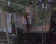 пожежа закарпаття