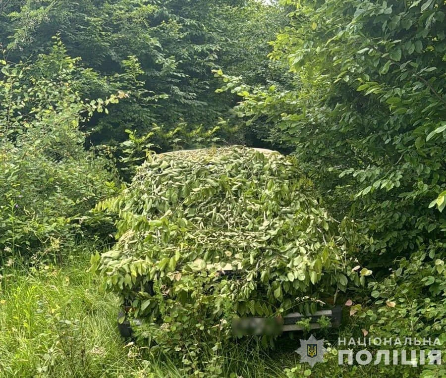 На Закарпатті поліцейські затримали трьох хлопців, які викрали авто та заховали його у лісі