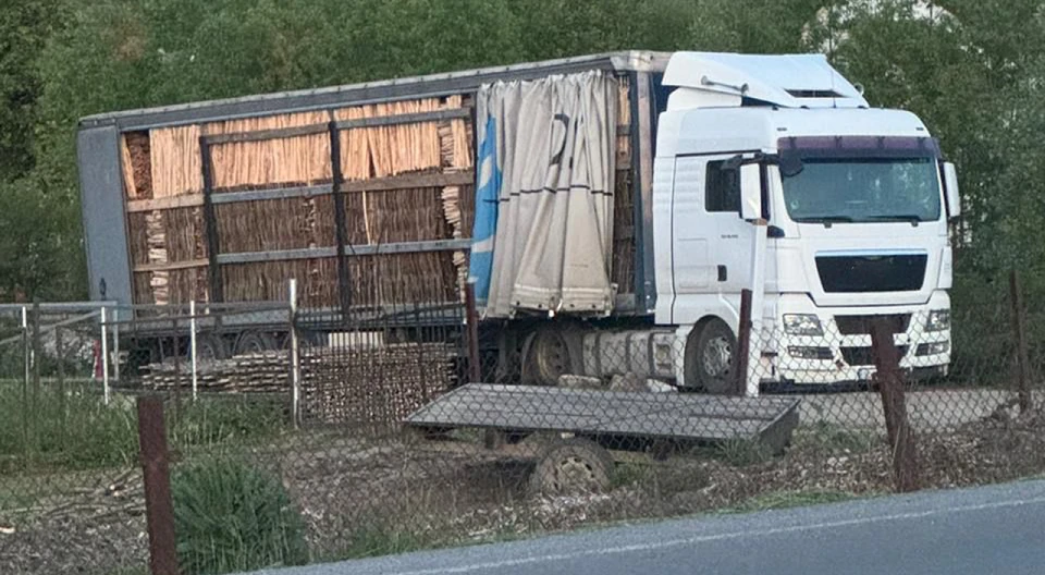 На Львівщині викрили незаконне вивезення лісоматеріалів за кордон