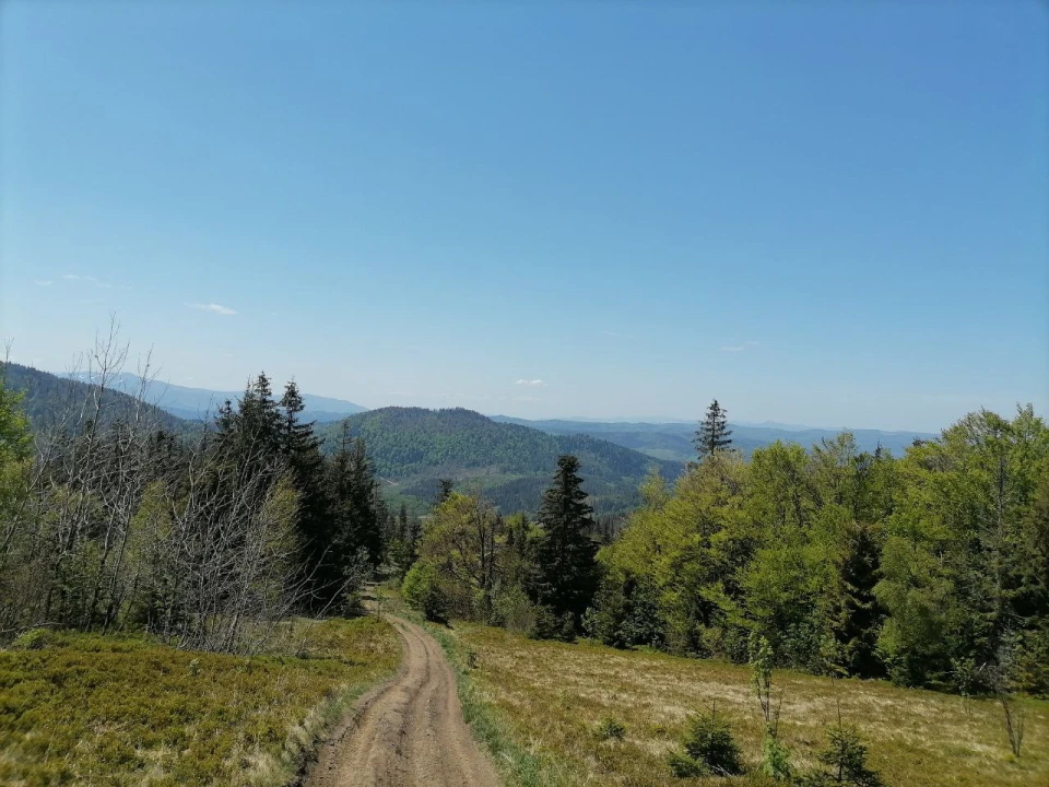 Карпати