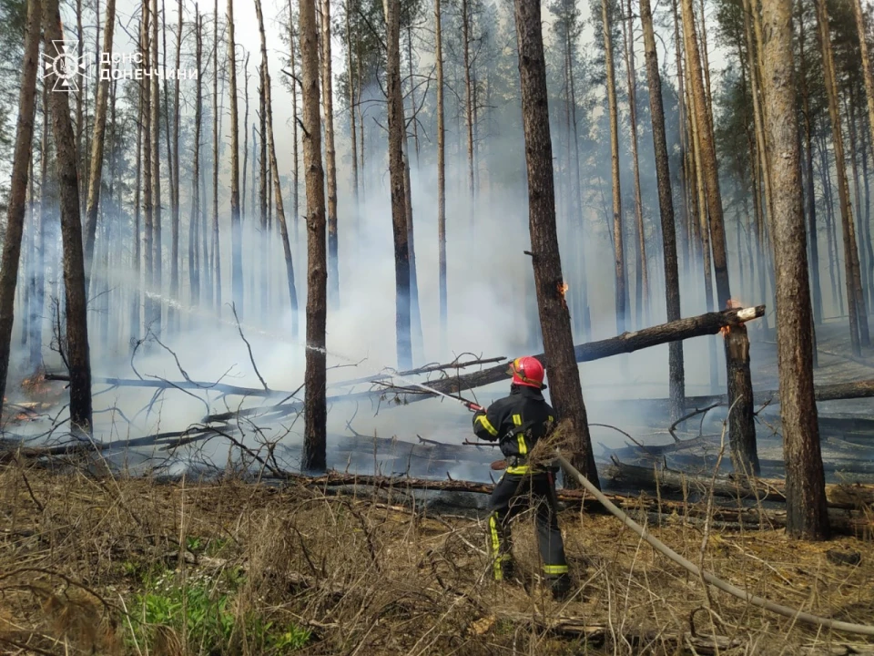 на фото пожежа у національному природному парку "Святі гори"