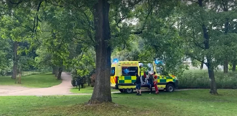 У Чехії під час свята до Дня захисту дітей блискавка влучила в дерево: постраждали 20 людей