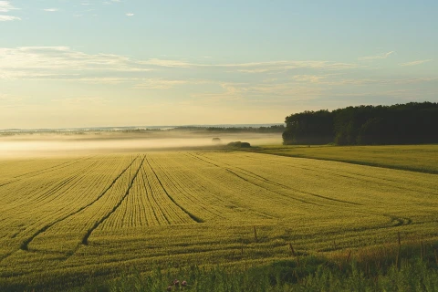 земля, земельна ділянка