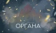 день народження органа