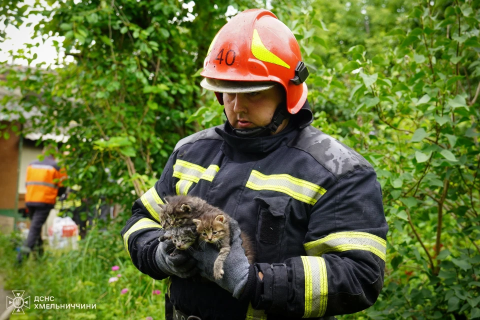 У Хмельницькому під час пожежі врятували чотирьох кошенят