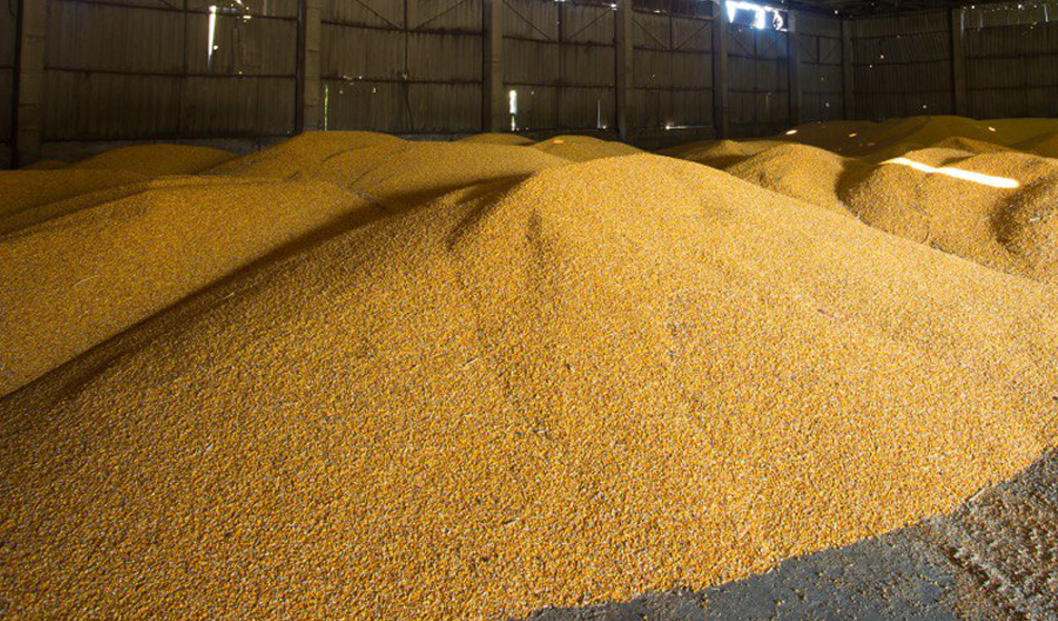 Ізраїль відпустив судно РФ із українським зерном, – журналіст Axios