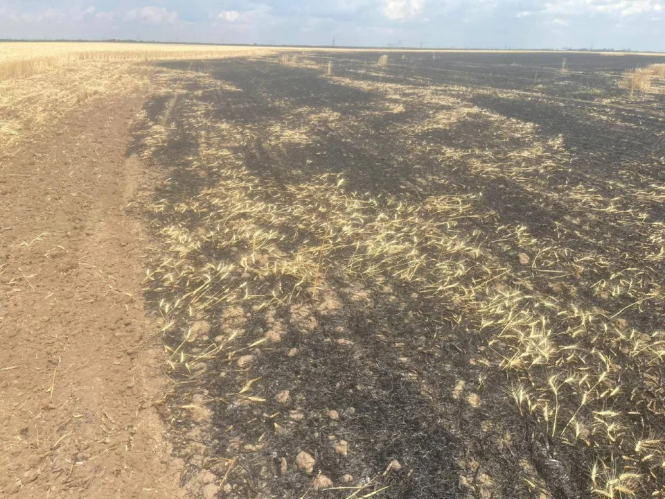 На Херсонщині окупанти вдарили по полю
