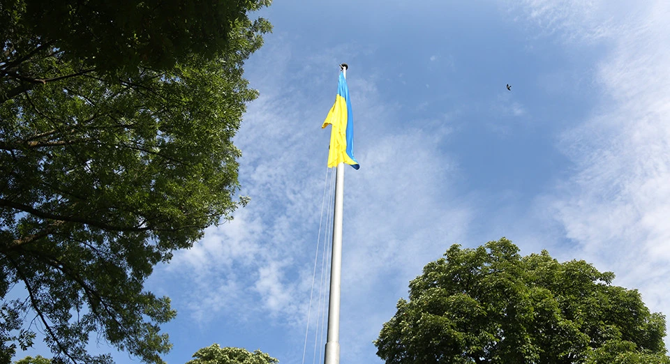 День Конституції України