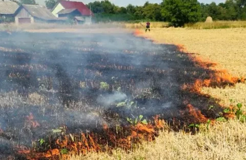 пожежа стерні