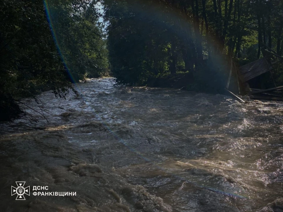 На Прикарпатті мама з двома дітьми впали у річку: 9-річна дівчинка загинула