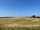 Невідомі аграрії зібрали половину врожаю із захоплених земель біля Львова