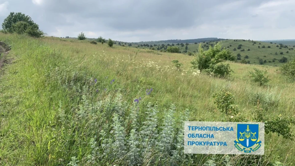 земля