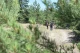 Волинські сапери розміновують Донеччину