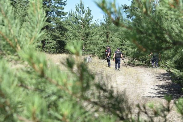 Волинські сапери розміновують Донеччину