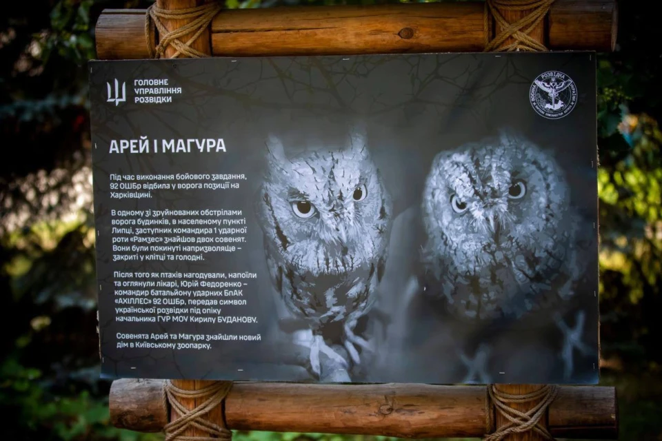У Київському зоопарку житимуть "штатні" сови ГУР