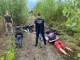 ухилянти ухилянти