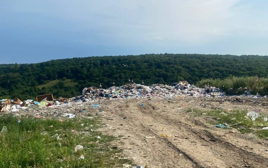 стихійні звалища