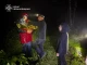 порятунок людей з лісу