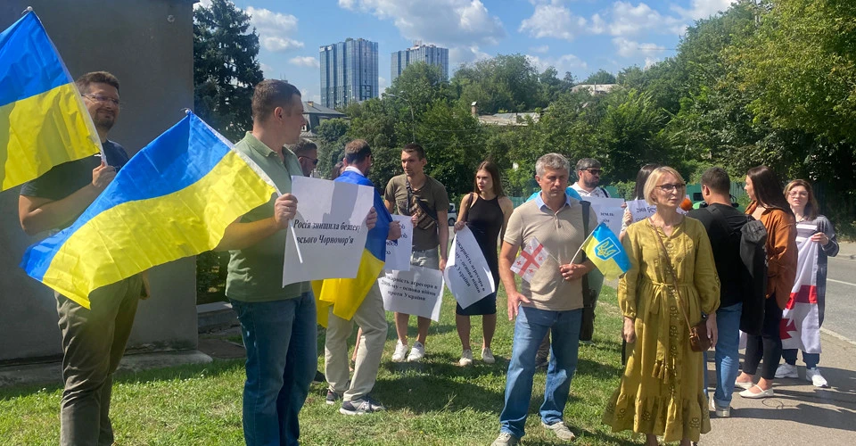 мітинг грузинської діаспори