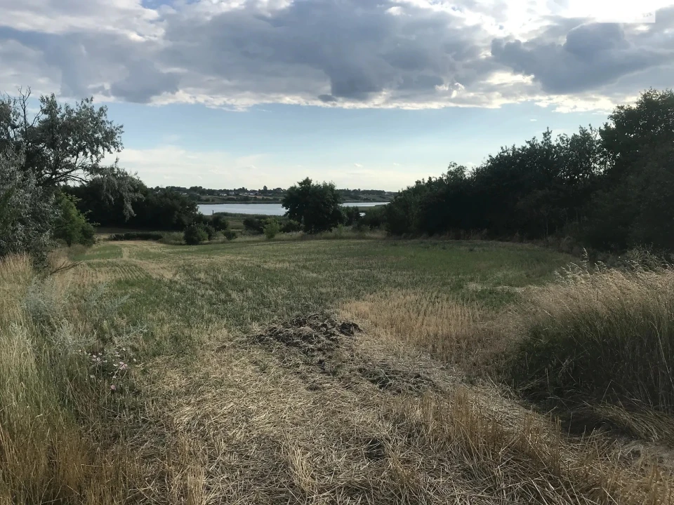 скребиші