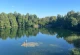 Щербаки