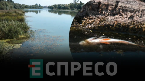 Еспресо: Біла Церква