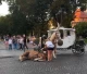 інцидент з конем в центрі Львова