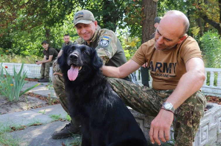 каністерапія для військових